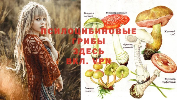 прущие крисы Арсеньев