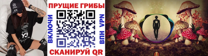 Галлюциногенные грибы ЛСД  Купить  Нюрба 