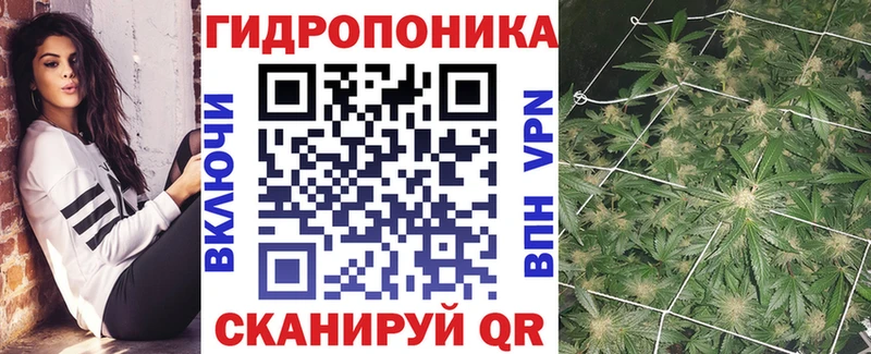 Шишки марихуана MAZAR  Купить  Нюрба 